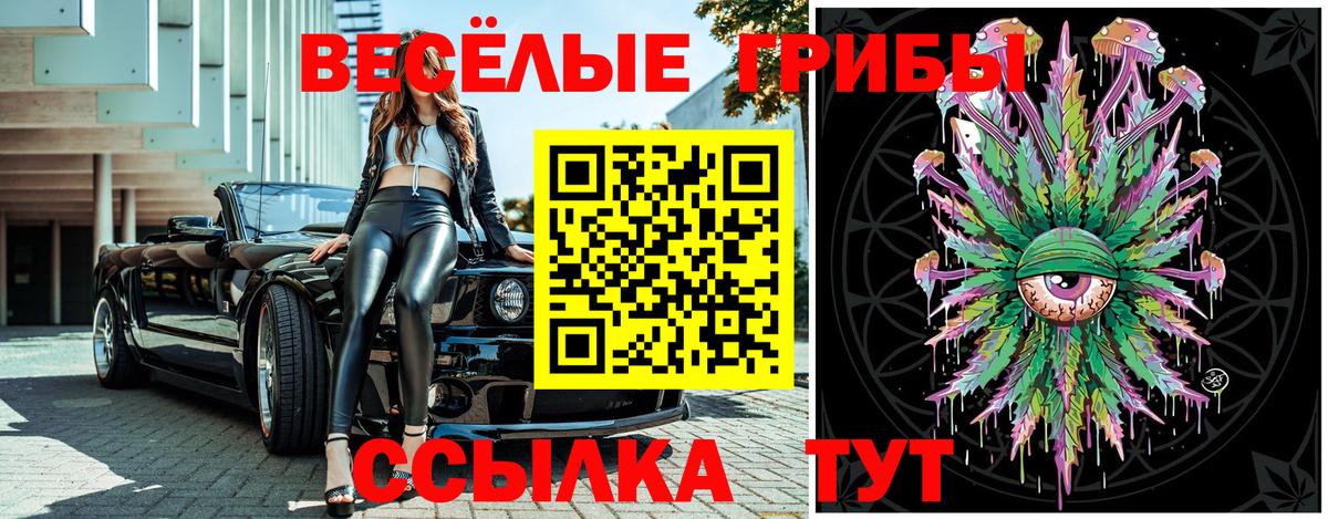Псилоцибиновые грибы Cubensis  Вход с VPN  цена   Новочебоксарск  Галлюциногенные грибы Psilocybe 